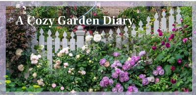 COZY GARDENブログ