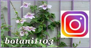 宗像カノコユリ研究会