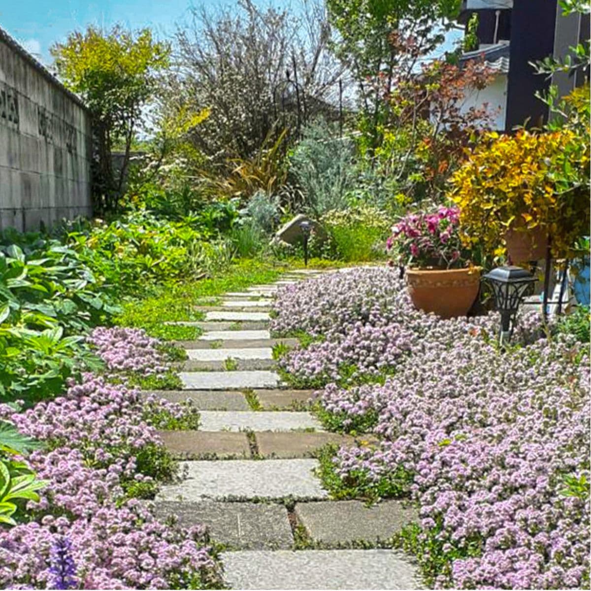 合楽香気圧広場