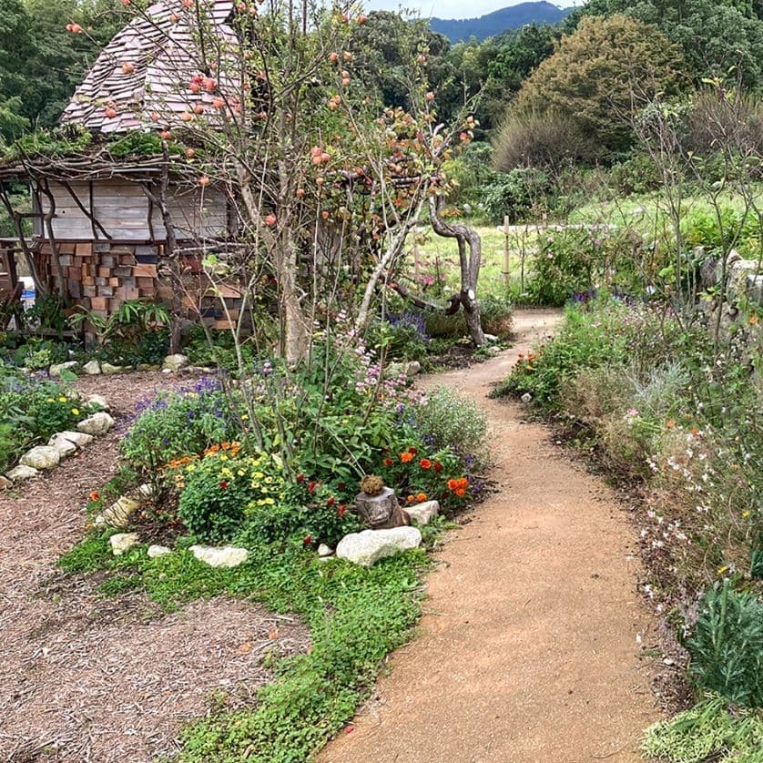 草花を楽しめる庭の散歩径