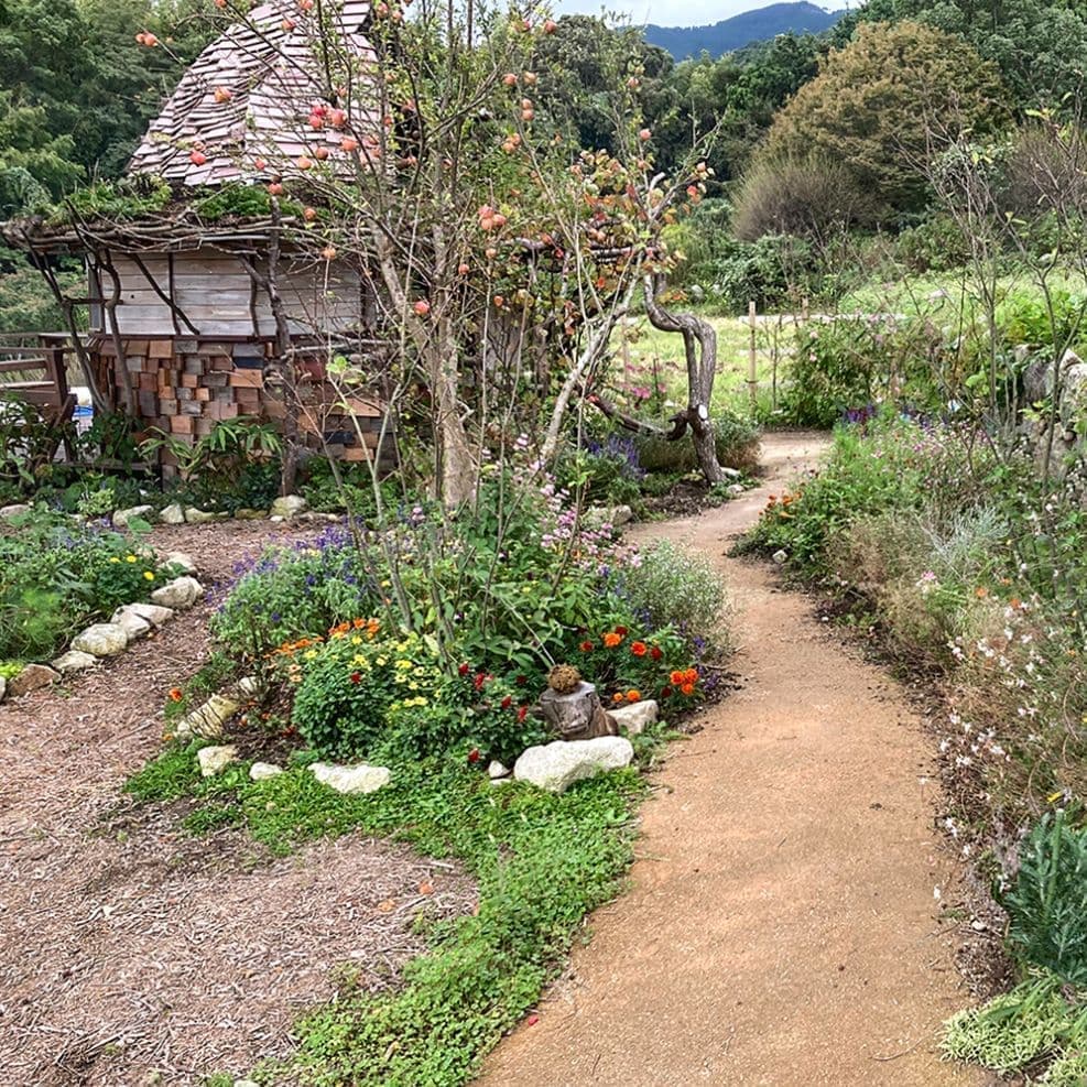 草花を楽しめる庭の散歩径